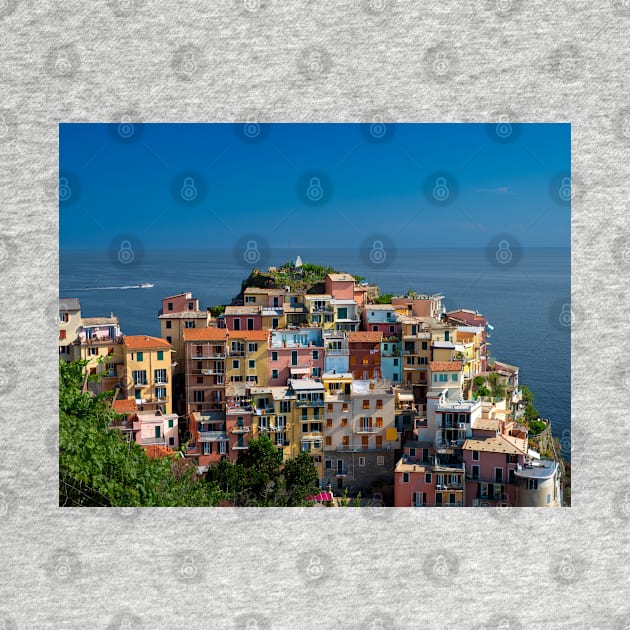 View on the cliff town of Manarola, one of the colorful Cinque Terre on the Italian west coast by Dolfilms